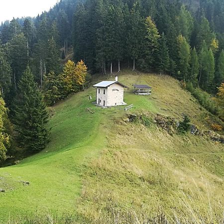 B&B Ai Pini Tiarno di Sopra Εξωτερικό φωτογραφία