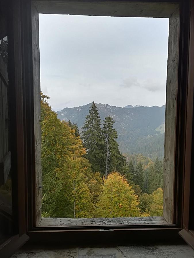 B&B Ai Pini Tiarno di Sopra Εξωτερικό φωτογραφία
